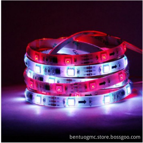 Top quality&New arrival SMD5050 60leds/m LED strips